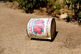 Os Perigos escondidos nos Alimentos: Tomate em Lata