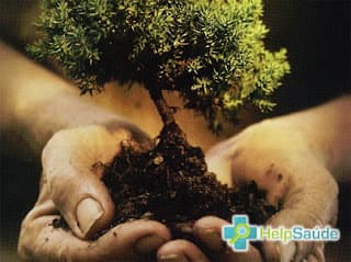 Dia Mundial do Meio Ambiente - 5 de junho