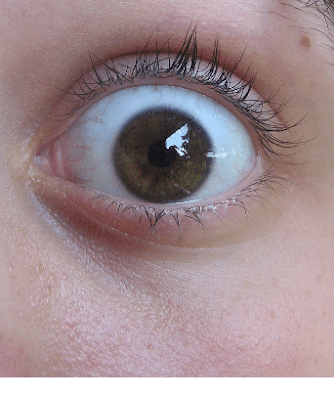 Estados Unidos questionam o pânico da H1N1