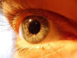 26 de maio - Dia Nacional do Combate ao Glaucoma