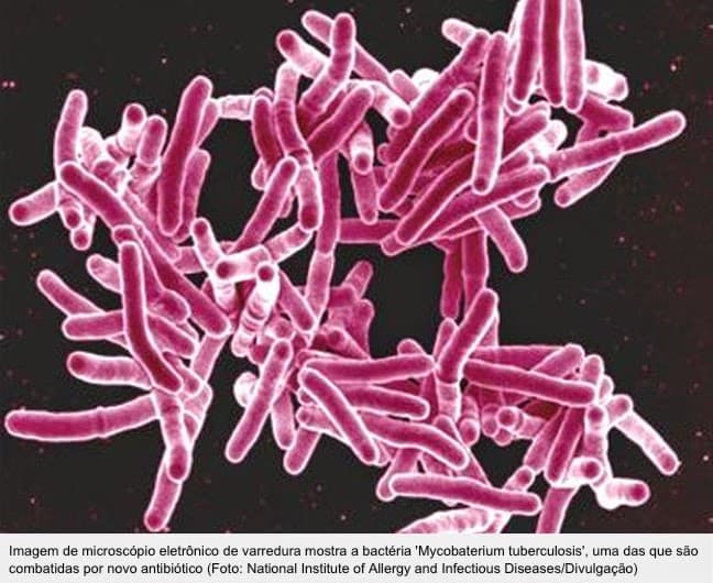 Novo antibiótico destrói bactérias e impede que desenvolvam resistência
